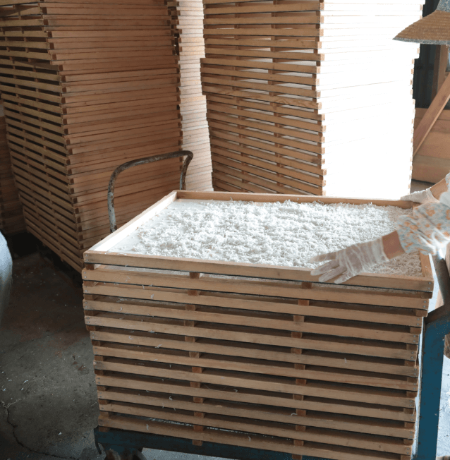 水揚げされたばかりのしらす