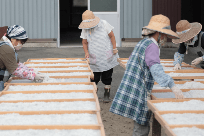 しらすを均等に並べています