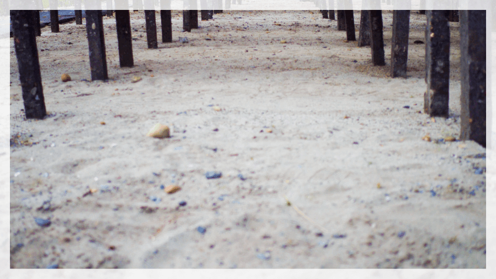 しらすを干す場所の地面は砂浜