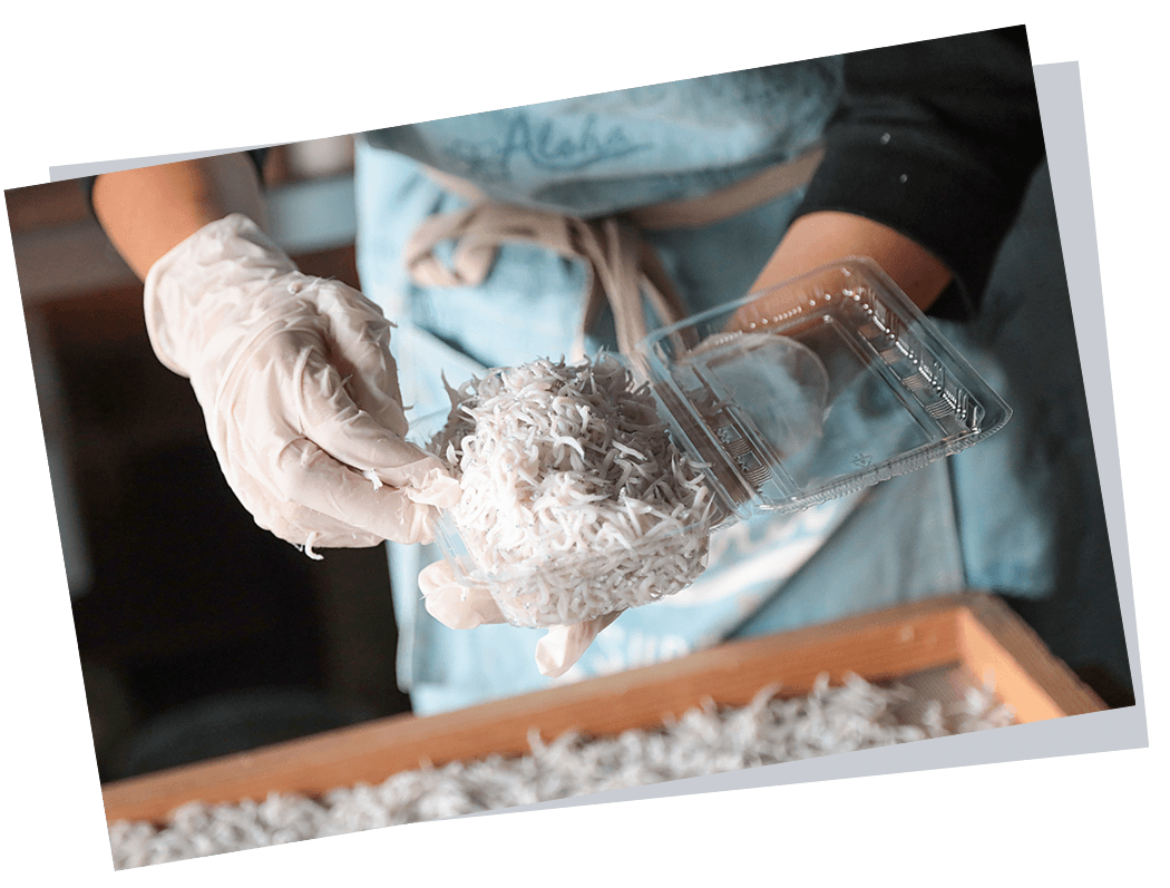 店舗だからできる、その日の釜揚げしらすを無凍結で!